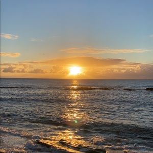 Meet your Posher, Kym